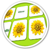 Spiele im Elearning, überprüfen Sie spielerisch Ihr Wissen.